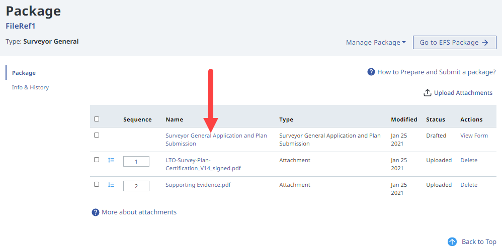 Web Filing Package View