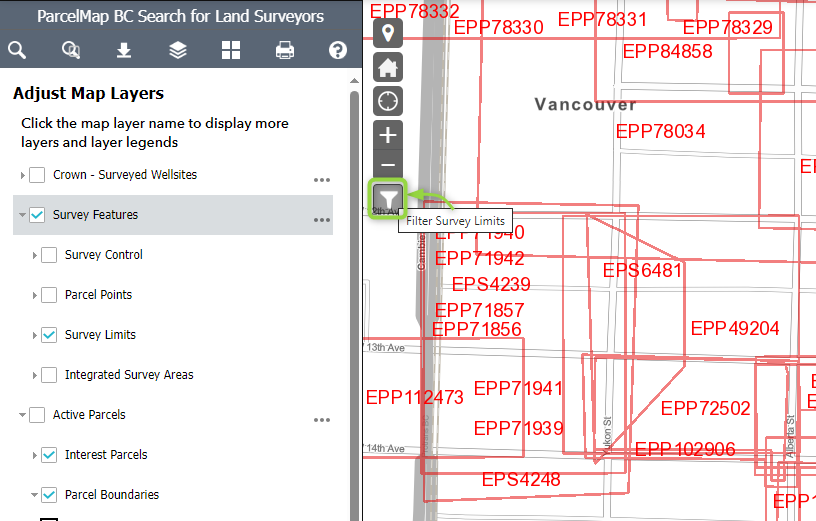 Survey limit filter applying