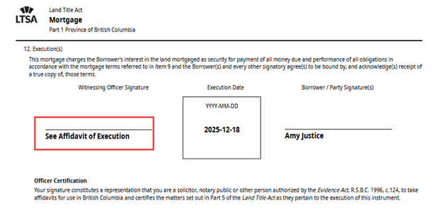 Web Filing Form B autogenerates See Affidavit of Execution