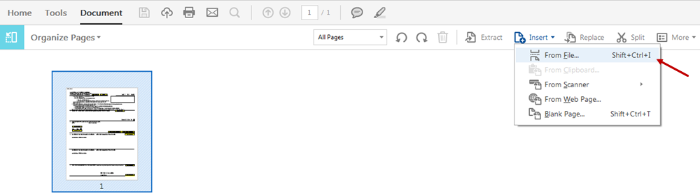 Acrobat DC Insert from File