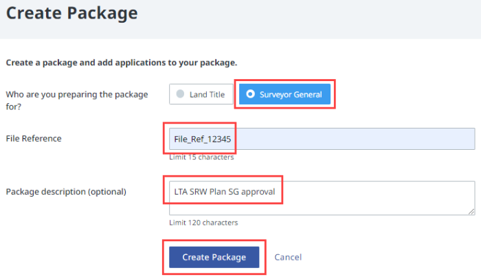 Create Package data entry section