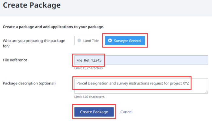 Create Package data entry section