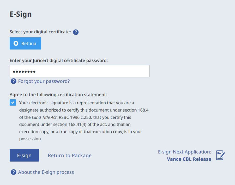 E-sign Web Filing Form esignwebfilingform